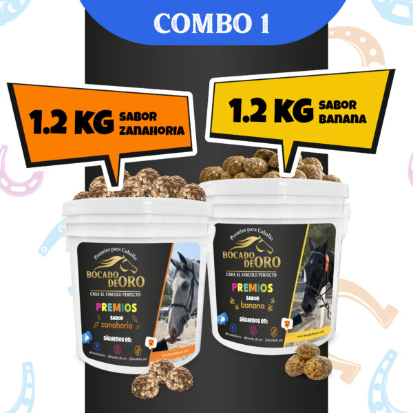Combo 1 Bocado de Oro